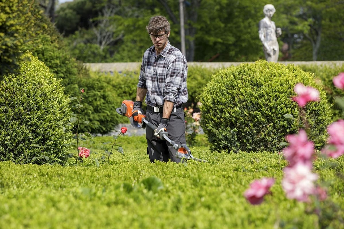 giardinaggio sostenibile